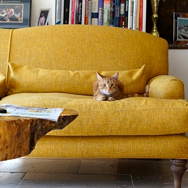 What Is The Most Durable Material For Furniture?