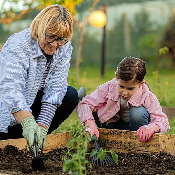 Not Wood Or Metal: Build Durable Raised Garden Beds With A Material You May Already Have