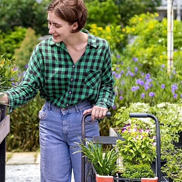 Say Goodbye To Landscape Fabric: Here's A Natural, Fragrant Groundcover