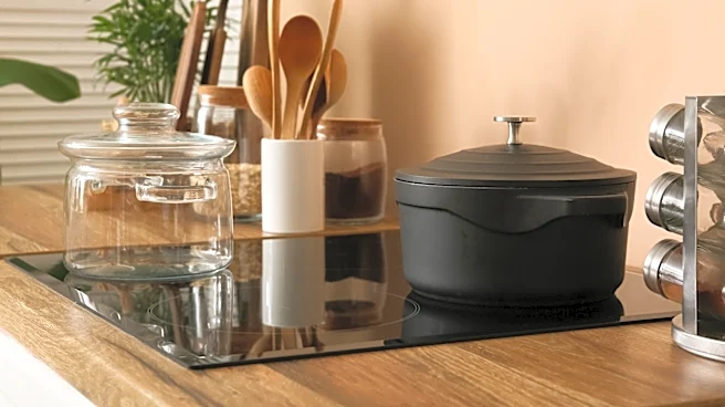 Can You Use Cast Iron On An Induction Stove?