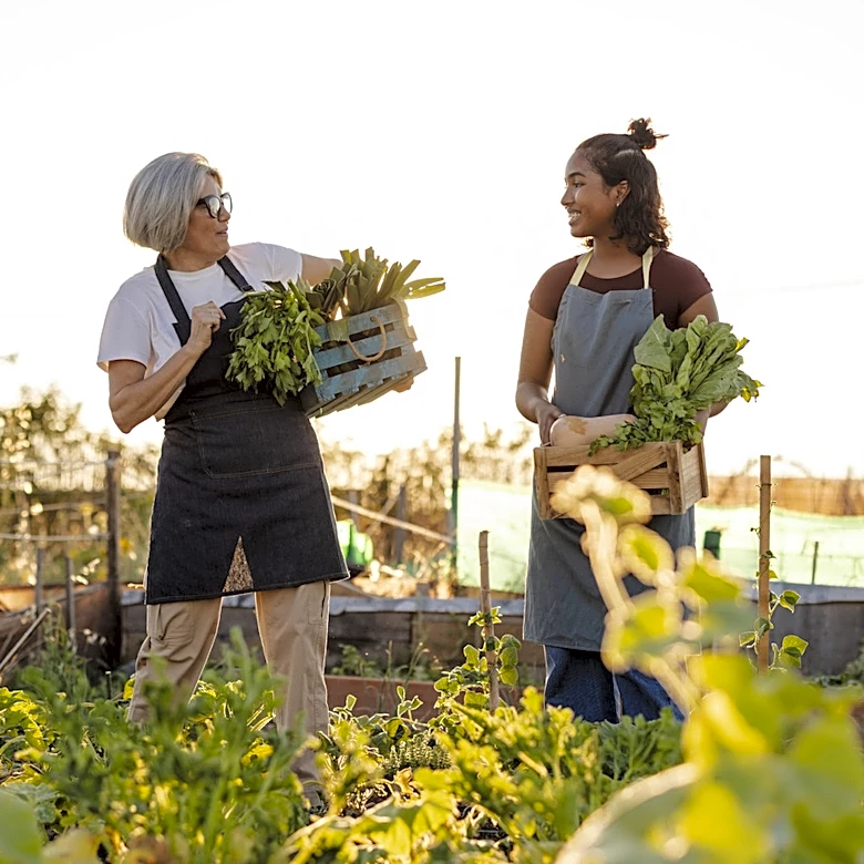 The Simple Garden Tool That Makes Caring For A Vegetable Patch Faster & Easier