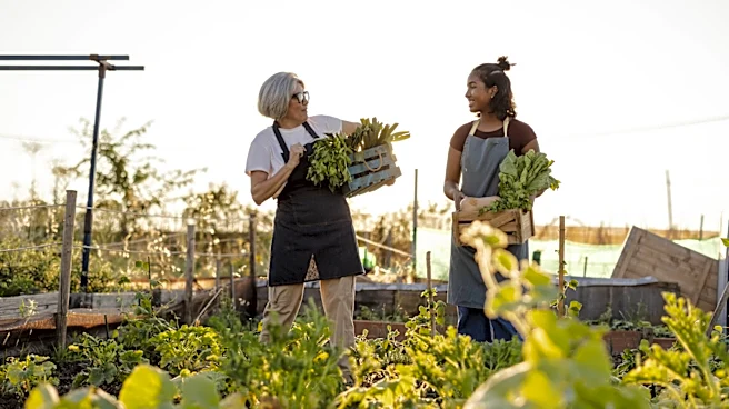 The Simple Garden Tool That Makes Caring For A Vegetable Patch Faster & Easier