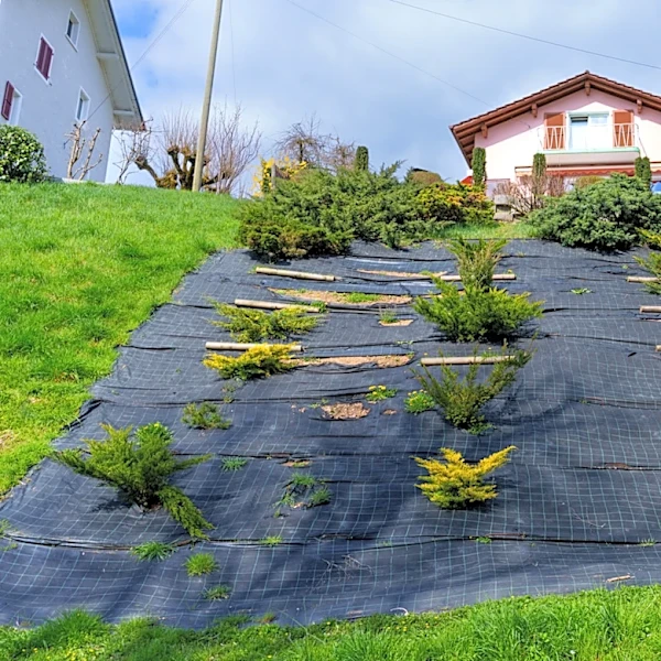 Ditch Landscape Fabric On Your Sloped Yard: It's Only Making Runoff Worse