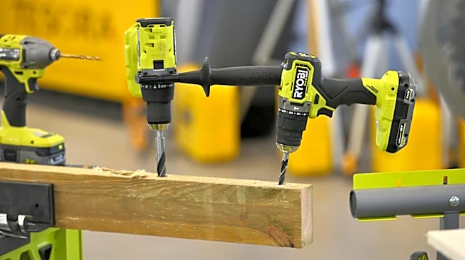 14 Ryobi Finds Under $60 You'll Want In Your Tool Collection