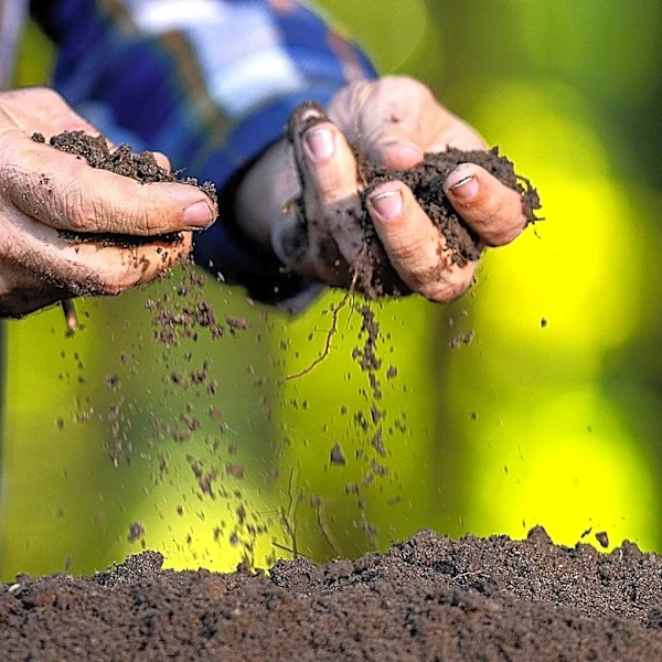 Easier Than Doing It By Hand: How To Spread Topsoil Evenly With Less Effort