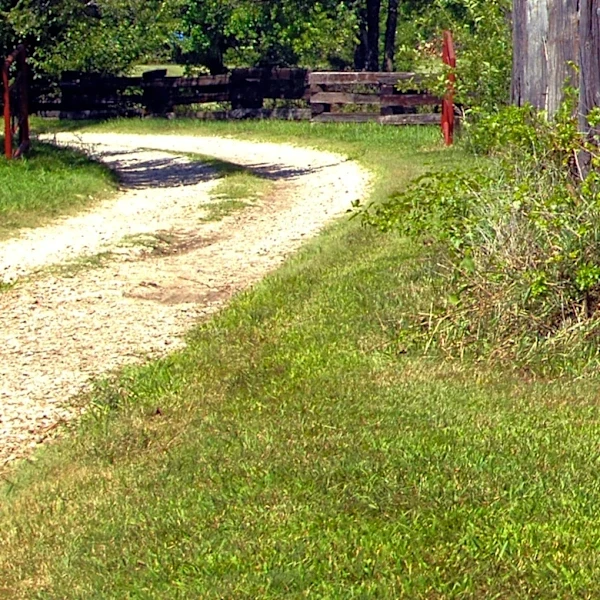 No More Hand-Pulling: The Easy-To-Use Tool To Remove Young Weeds From Gravel Driveways