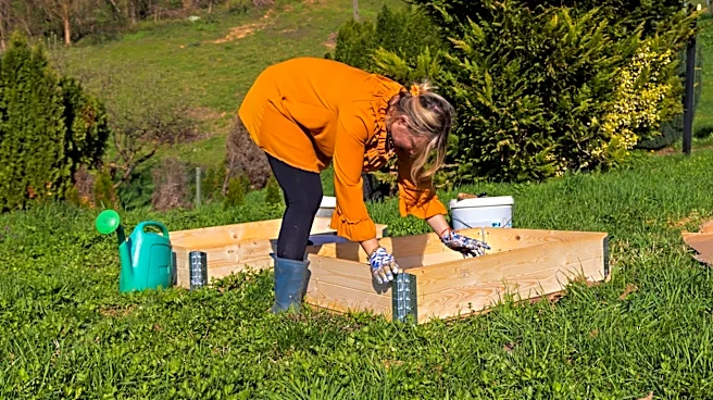Using Recycled Wood For DIY Raised Garden Beds Is A Good Idea — Unless It's This Type