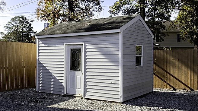 Lighter Than Wood: The Durable Material To Use For A Backyard Shed