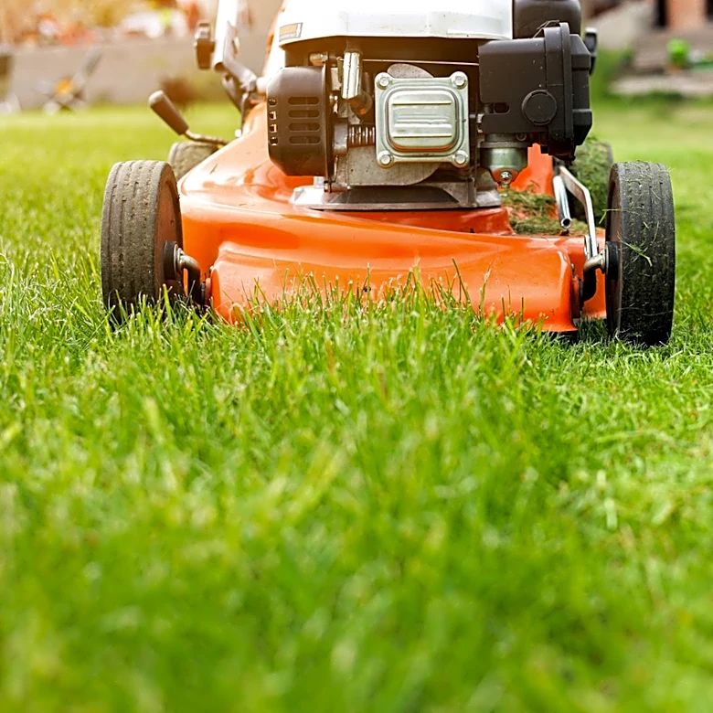 The Lawn Mower Task To Do In September To Prepare For A Stunning Spring Lawn