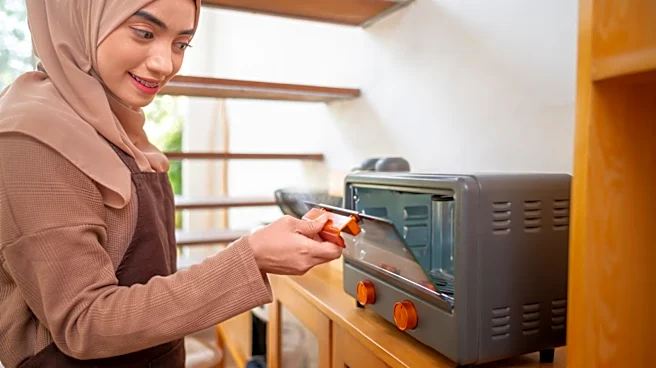5 Disadvantages Of Using A Toaster Oven
