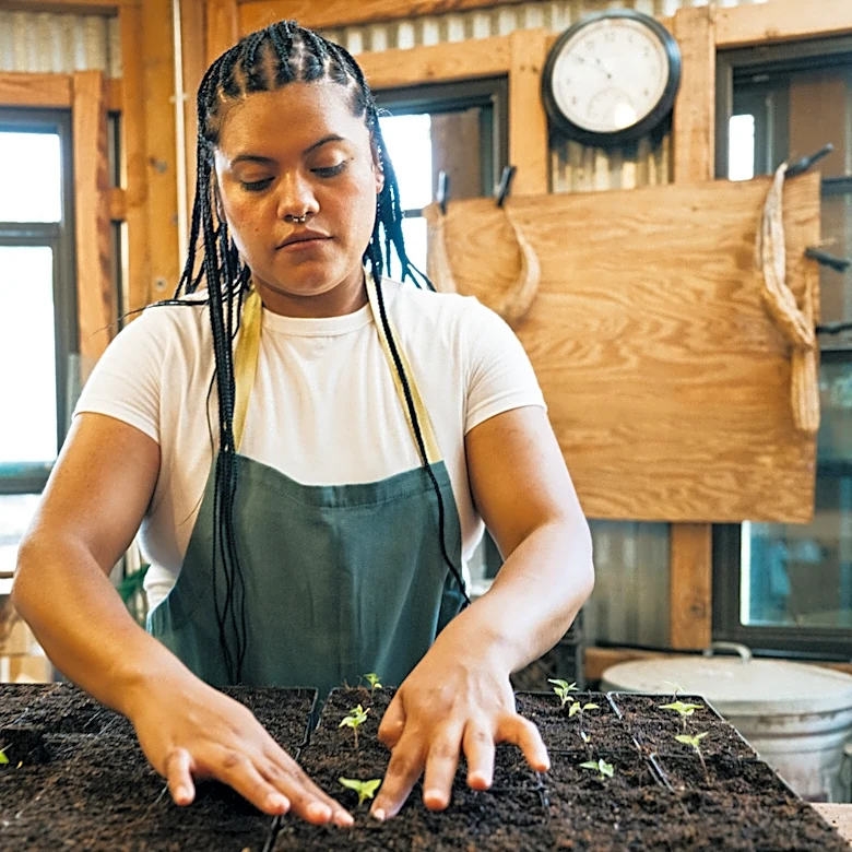 The Homemade, Affordable Potting Mix Solution That's Just As Nutrient-Rich As Peat