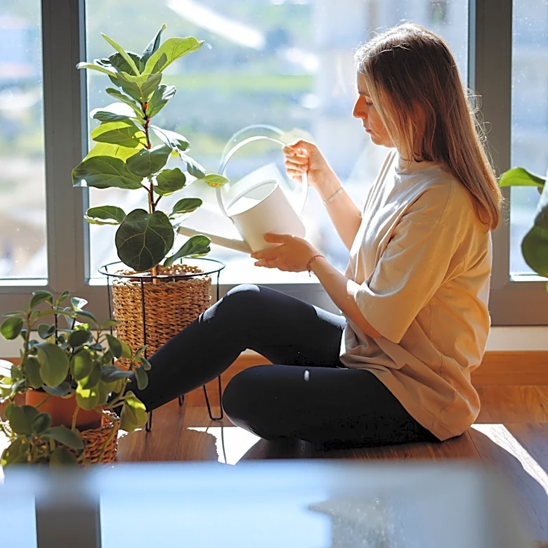 11 Popular Houseplants Ranked From The Hardest To Easiest To Keep Alive