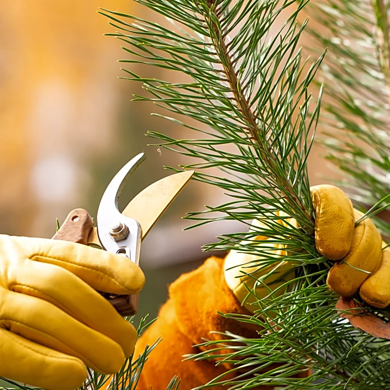 Sharpen Shears Anywhere With An Easy Solution From Amazon