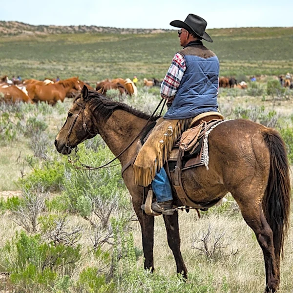 10 Old-School Gardening Tools Cowboys Used That We Still Rely On Today