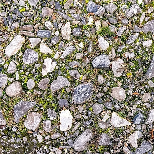 How To Get Rid Of Moss On Gravel Driveways, Walkways, And Patios?
