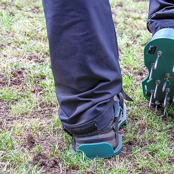 Core Vs. Spike Aeration: What's The Difference?