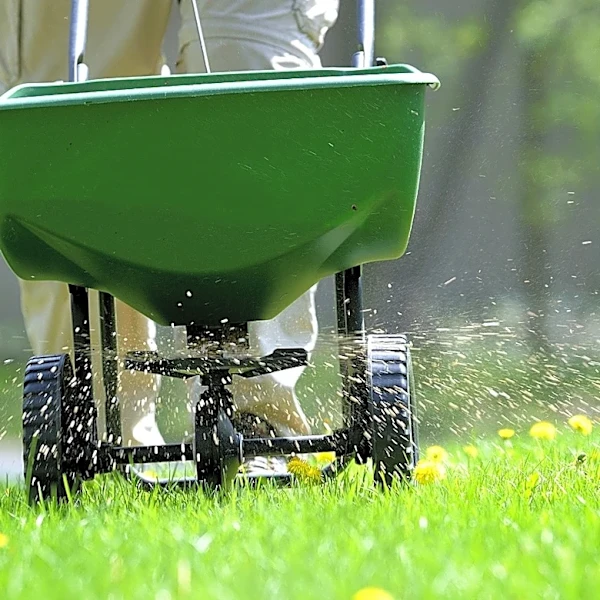 Trying To Remove Weeds In The Fall Isn't Always Worth Your Time — Here Are Some To Leave Alone