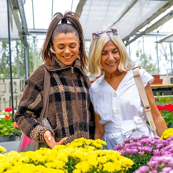 Not Mums: The Towering Flower That Blooms In October For A Spectacular Garden