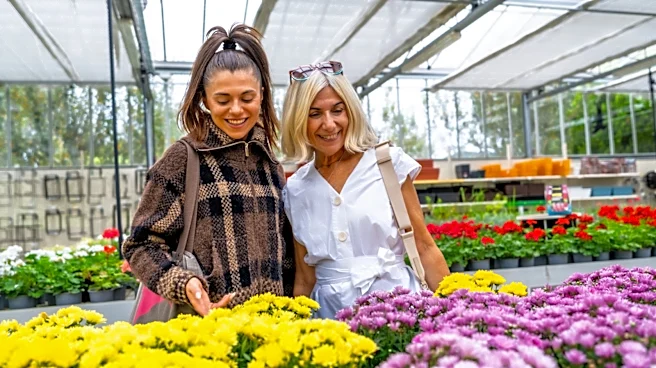 Not Mums: The Towering Flower That Blooms In October For A Spectacular Garden