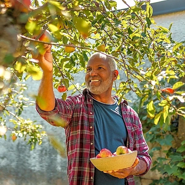 The Popular Garden Herb You Should Plant Under Fruit Trees
