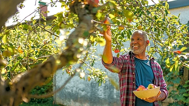 The Popular Garden Herb You Should Plant Under Fruit Trees
