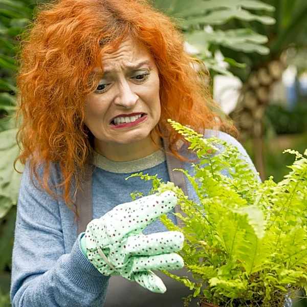 Most Unhinged AI Gardening Hacks You Don't Want To Fall For
