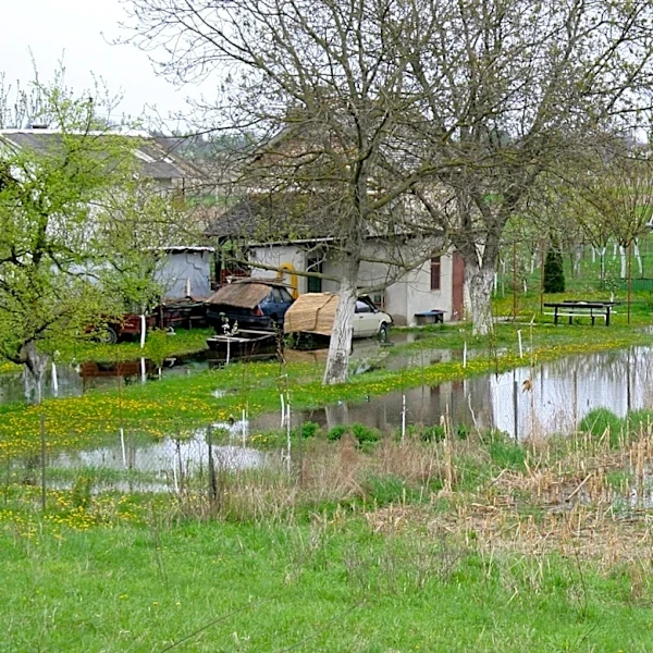 Say Goodbye To French Drains: These Alternatives Could Work Better For A Soggy Yard