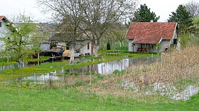 Say Goodbye To French Drains: These Alternatives Could Work Better For A Soggy Yard