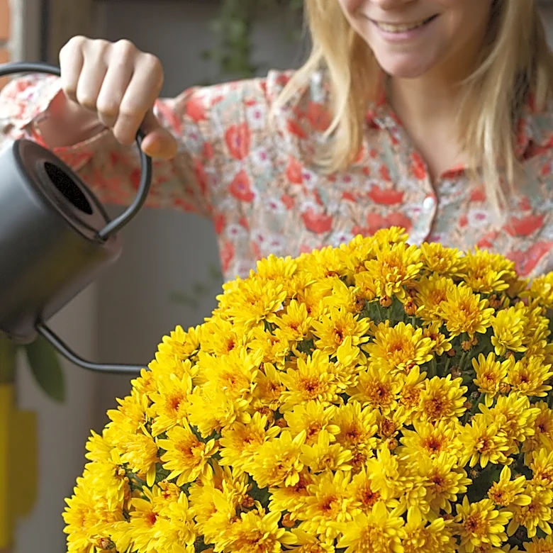 Forget Mums: The Edible Plant Alternative For Colorful Fall Planters