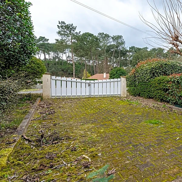 Easily Remove Moss From Roofs, Driveways, And Sidewalks With One Tool From Amazon