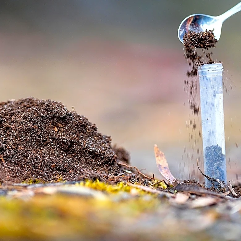 September Is The Right Time To Test Your Soil, But Hold Off On Adding These Nutrients