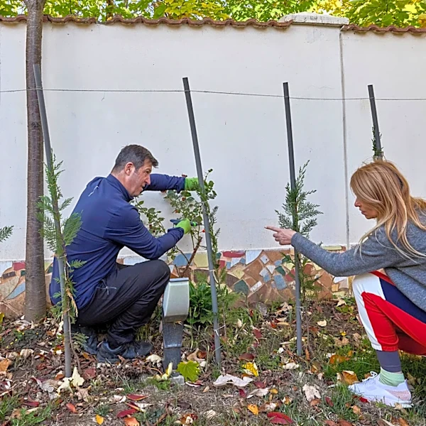 The Type Of Perennial Plants You Shouldn't Be Planting In September