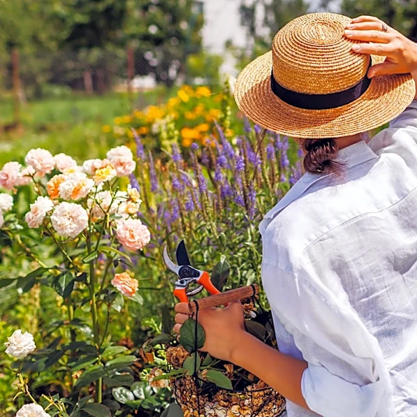 12 Flowers You Should Always Deadhead (And 4 That Should Be Left Alone)