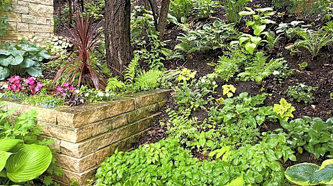 We Asked Gardeners Which Shade-Tolerant Plants Add The Most Color To Your Garden