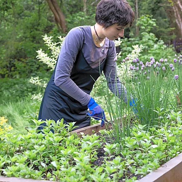 Not Basil, Not Cilantro: The Lemon-Scented Herb With Flowers You'll Want In Your Garden