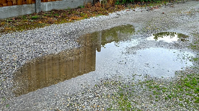 The Real Reason Gravel Driveways Can Sink Into The Soil, And It's Not Just Wear Or Drainage