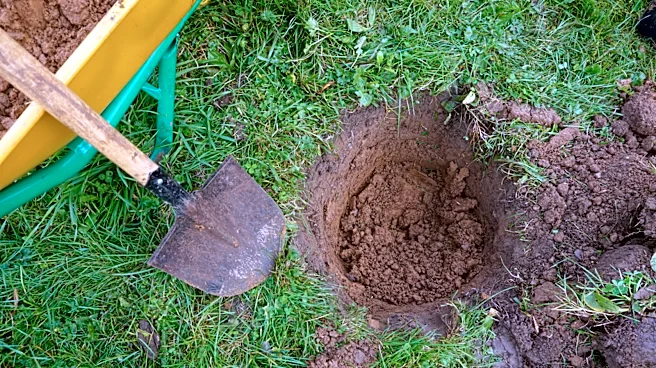 Say Goodbye To Gravel: Here's The Only Thing A Newly Planted Tree Needs At The Bottom Of Its Hole