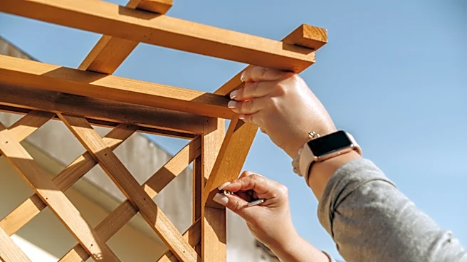 Gardener Uses Old Bed Slats To Make An Easy To Build Planter & Trellis