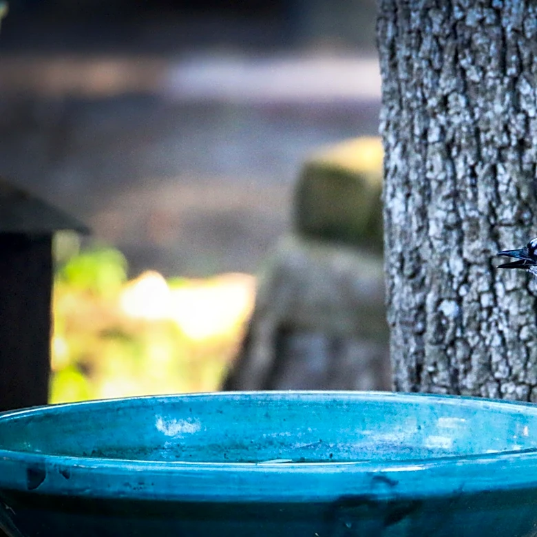Bye, Basic Bird Baths: The Find From Lowe's That Gives Feathered Friends A Stylish Space To Rest