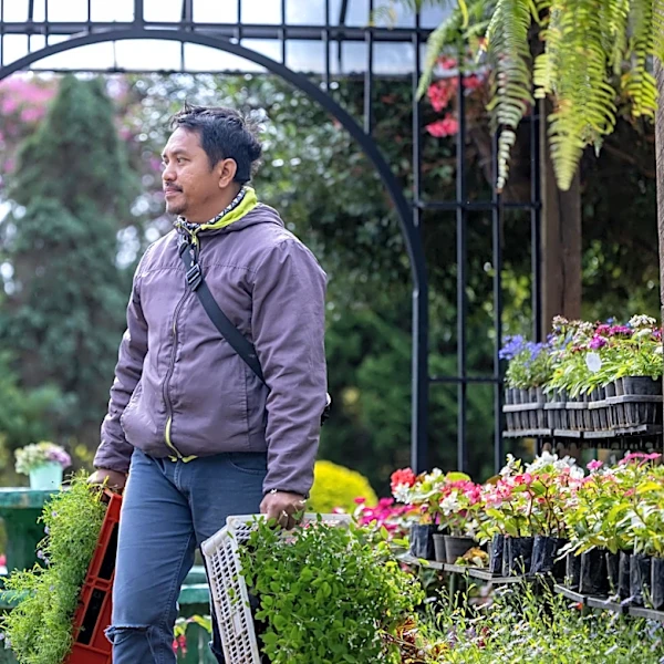 The Aromatic Herb That'll Not Only Grow Tall But Fill Your Yard With Pollinators