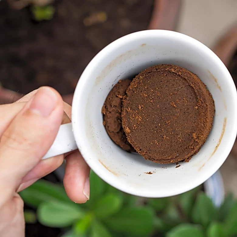 Coffee Grounds Aren't Changing The pH Of Your Soil
