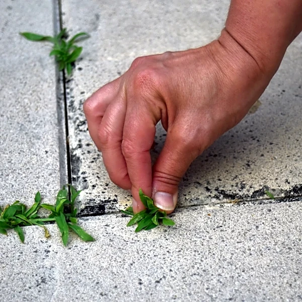 The Amazon Tool That Turns A Simple Broom Into An Easier Way To Remove Weeds From Concrete