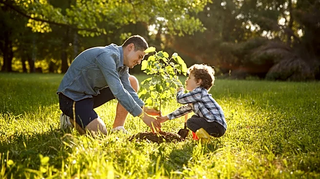 How Far Off Your Property Line Should You Plant Trees?