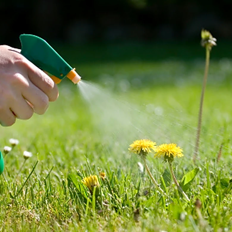 Ditch The Chemicals: Easily Remove Unwanted Weeds With A Powerful Find From Amazon