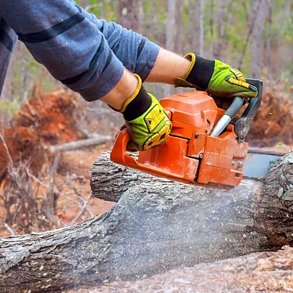 Sharpen Your Chainsaw With A Compact And Portable Amazon Find That Saves Maintenance Time