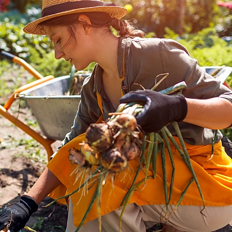 The Garden Seeds You Can Save In Fall To Regrow Your Vegetable Patch