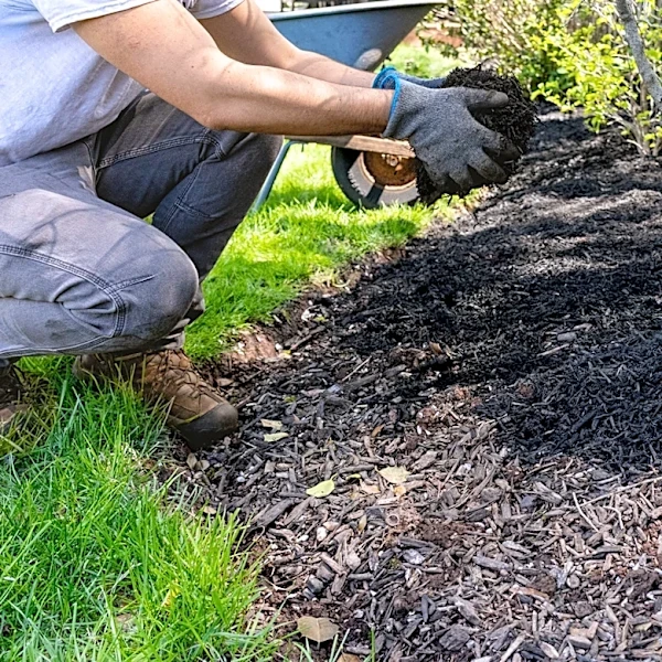 How To Prevent Grass From Growing In Mulch (It's Not Landscape Fabric)