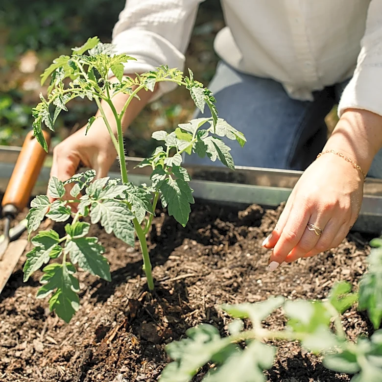 Is Plastic Safe To Use For Garden Beds?