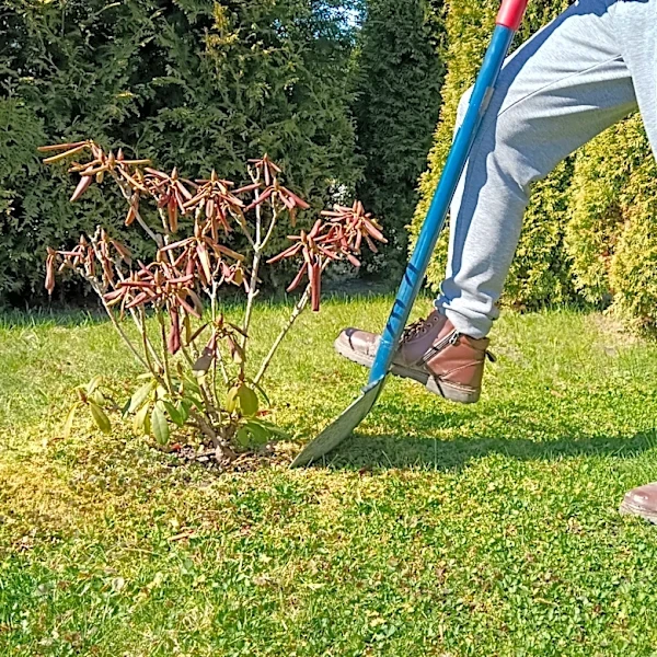 Stop Fighting Difficult Roots: There's An Amazon Tool That Makes Digging Easier