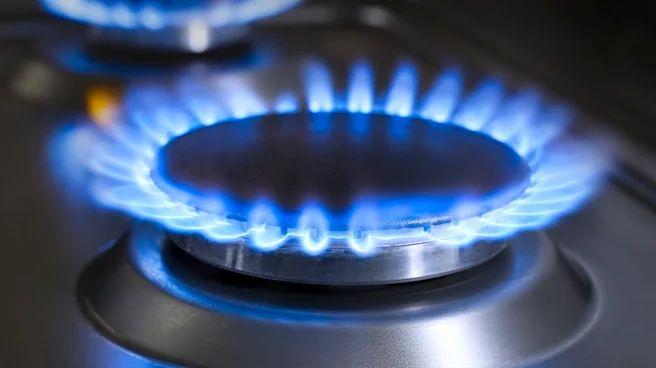 What Does A Dark Blue Flame Mean On A Gas Stove?